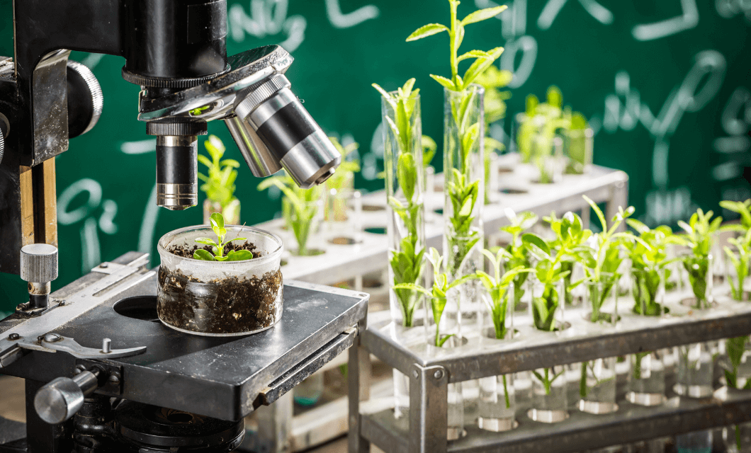 Plant Science